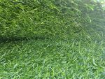 Artificial Grass 15mm thick R 70 per square meter - Image 2